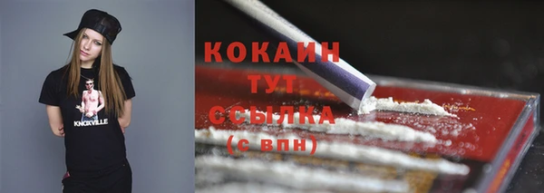 гашик Семилуки