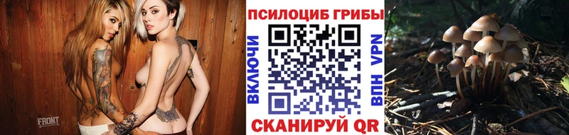 Галлюциногенные грибы Psilocybine cubensis  Купить  Омск